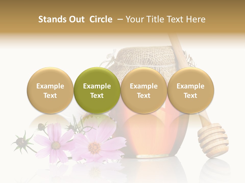 Camomile Life Plant PowerPoint Template