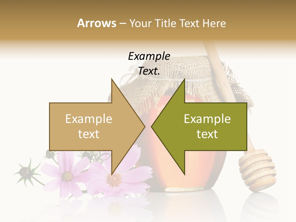 Camomile Life Plant PowerPoint Template