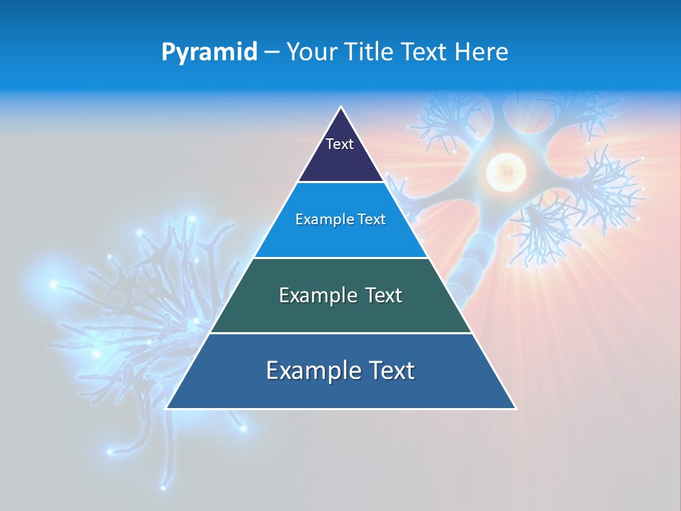 Dendrite Nucleus Brain PowerPoint Template