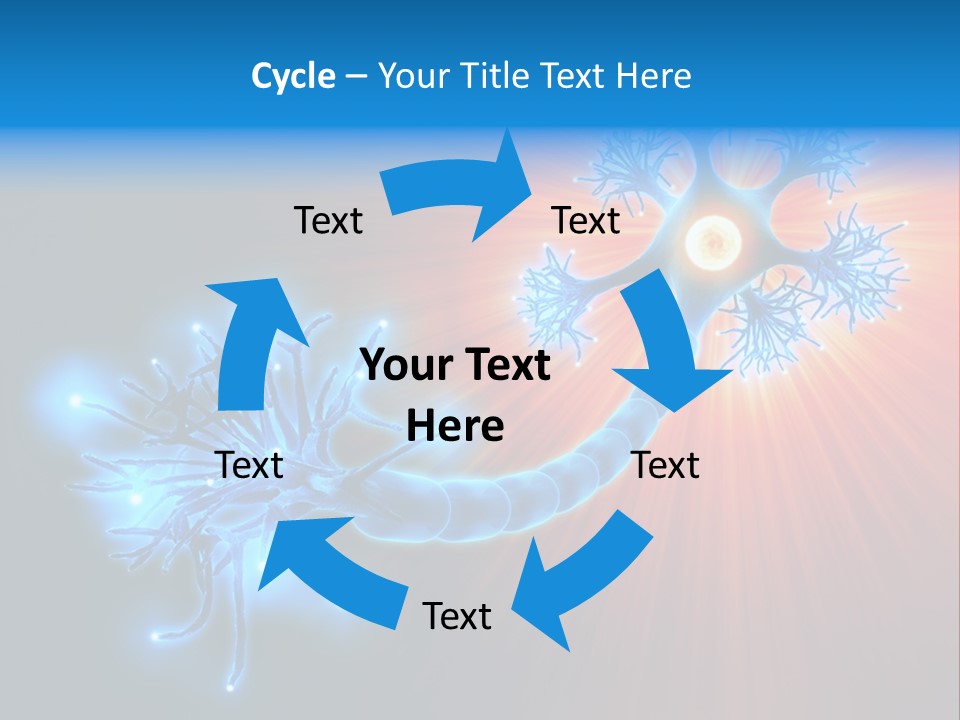 Dendrite Nucleus Brain PowerPoint Template