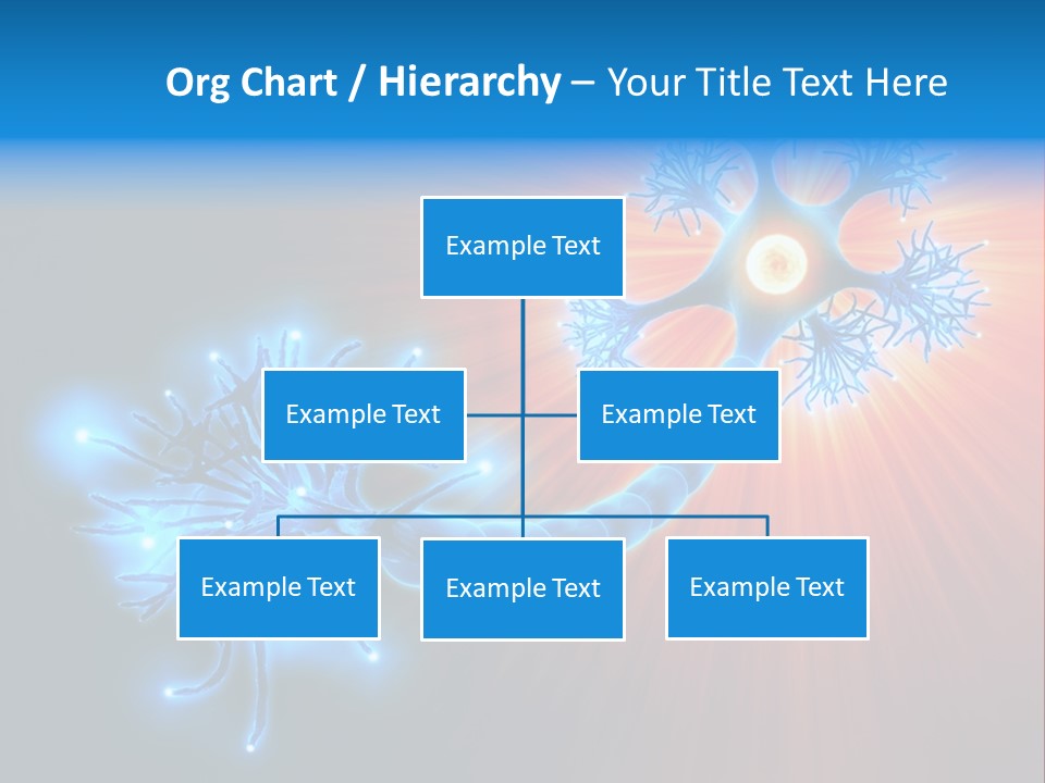 Dendrite Nucleus Brain PowerPoint Template