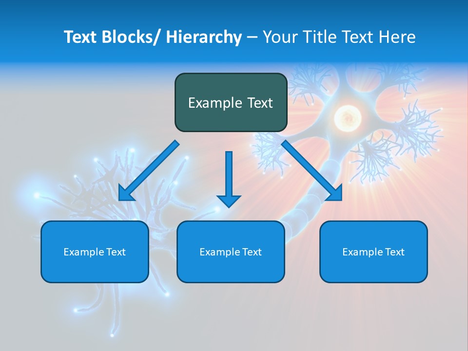 Dendrite Nucleus Brain PowerPoint Template