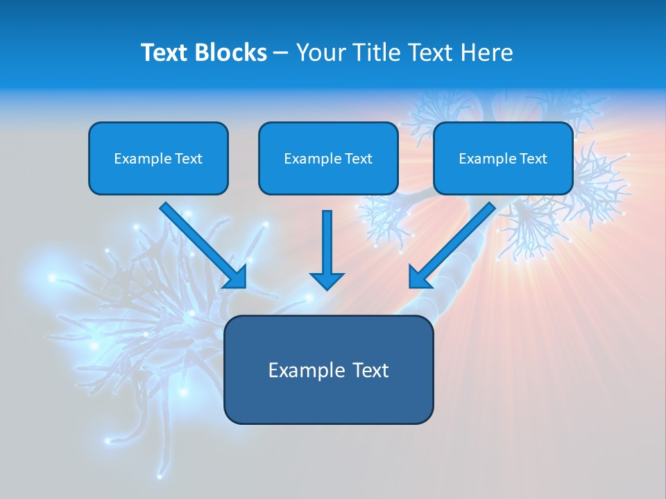 Dendrite Nucleus Brain PowerPoint Template