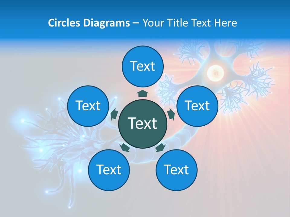 Dendrite Nucleus Brain PowerPoint Template