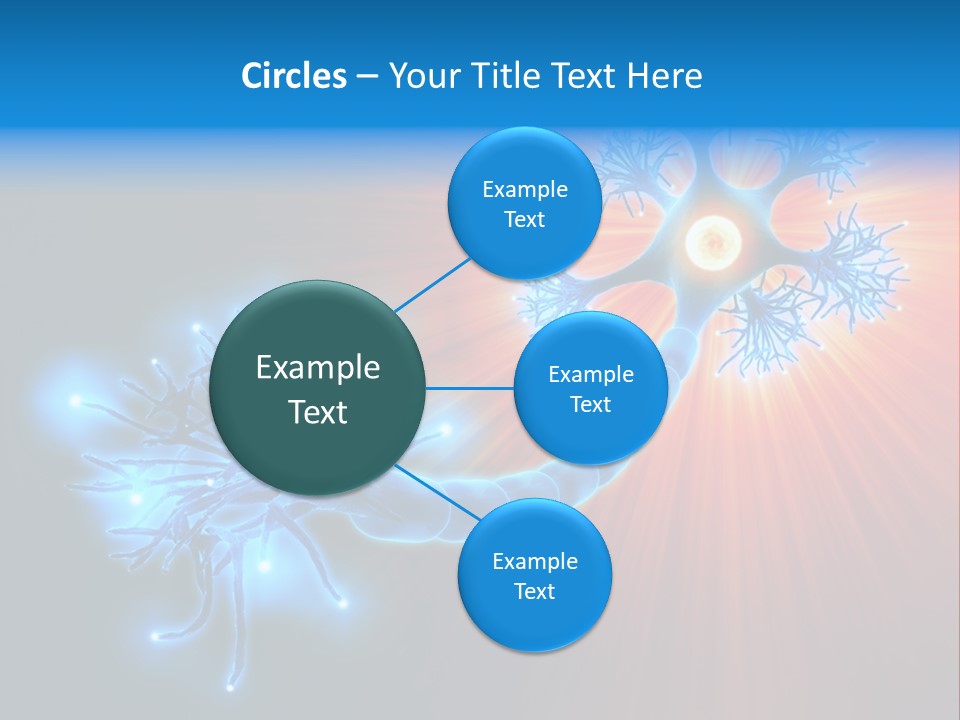 Dendrite Nucleus Brain PowerPoint Template