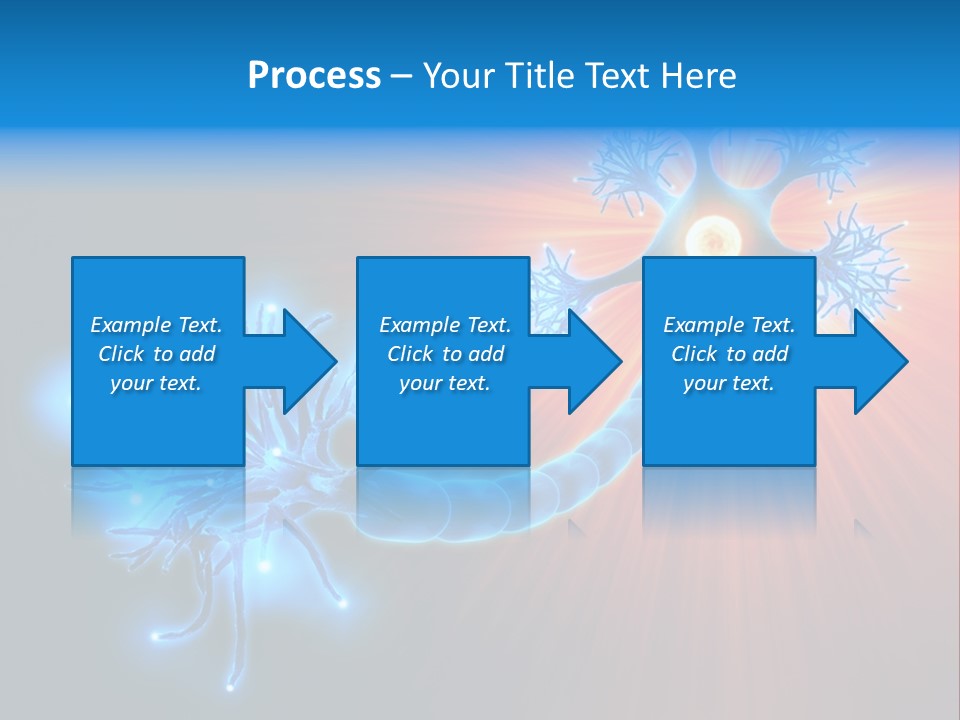Dendrite Nucleus Brain PowerPoint Template