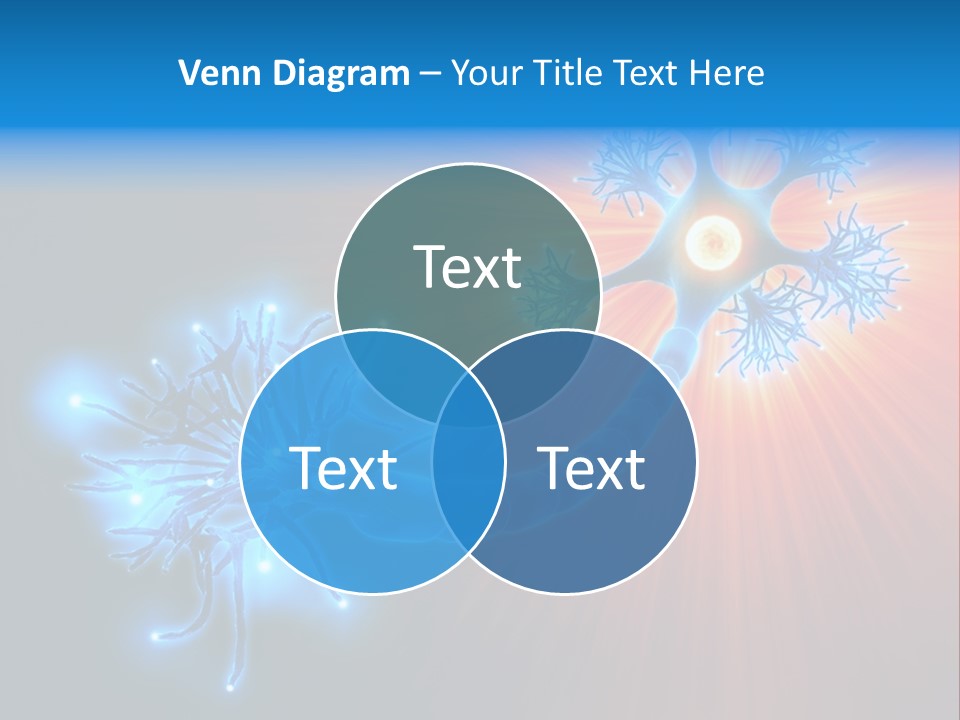 Dendrite Nucleus Brain PowerPoint Template