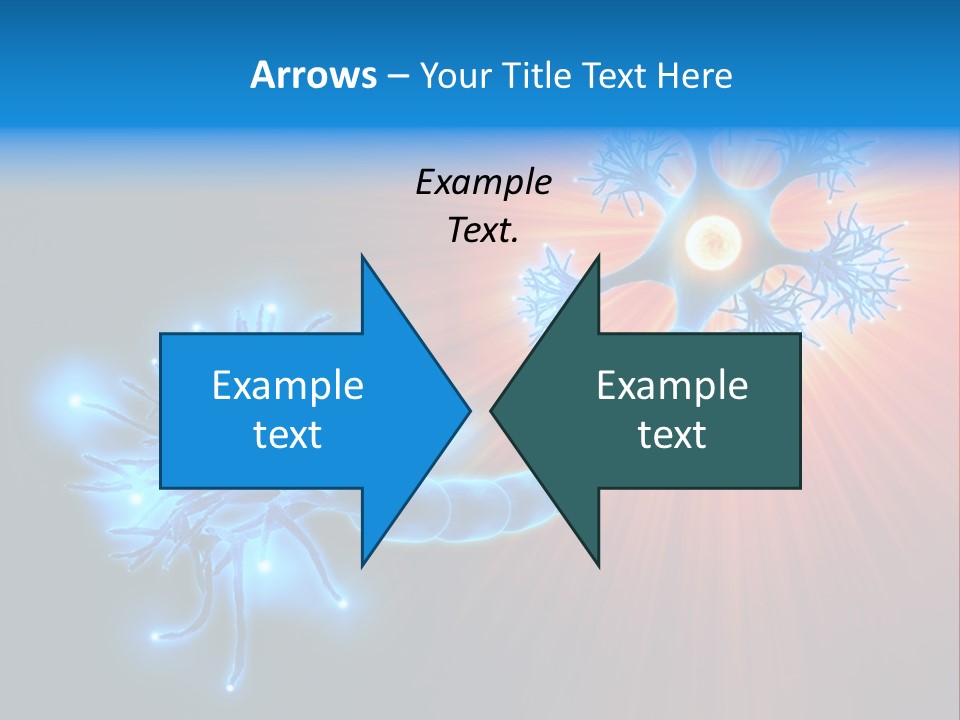 Dendrite Nucleus Brain PowerPoint Template