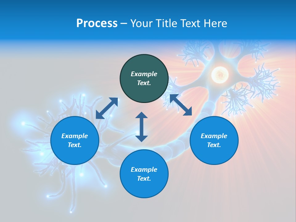 Dendrite Nucleus Brain PowerPoint Template