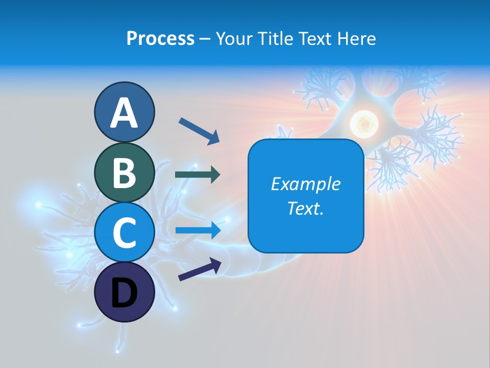 Dendrite Nucleus Brain PowerPoint Template