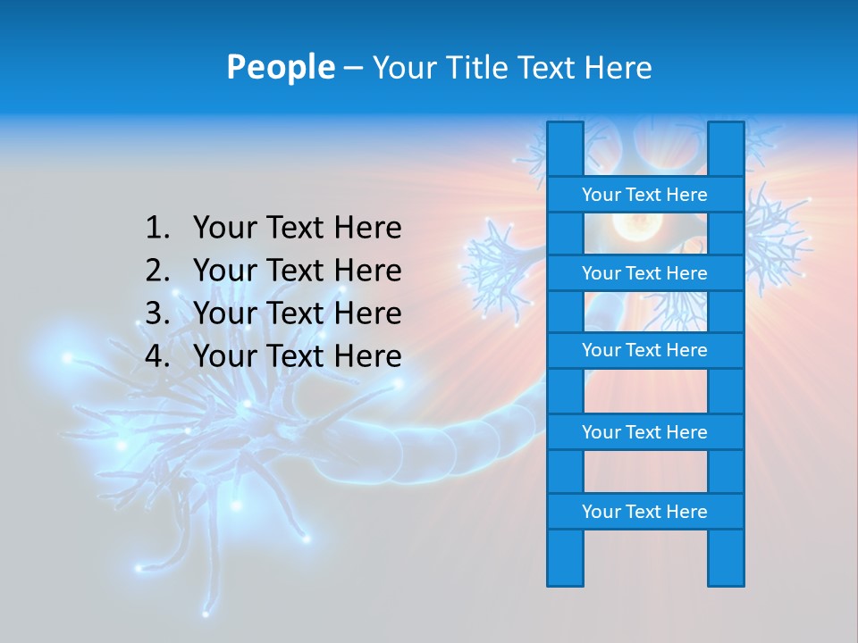 Dendrite Nucleus Brain PowerPoint Template