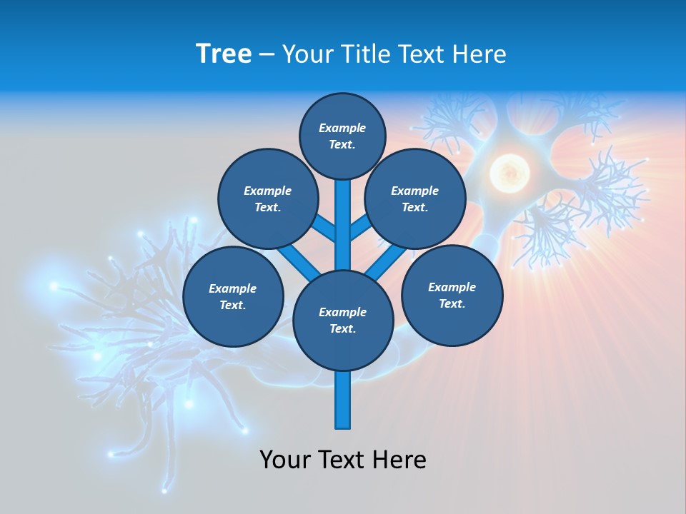 Dendrite Nucleus Brain PowerPoint Template