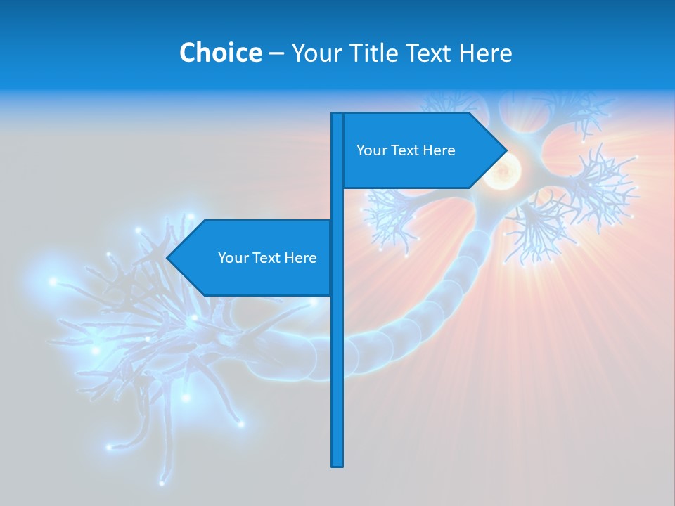 Dendrite Nucleus Brain PowerPoint Template