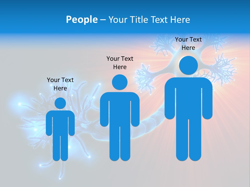 Dendrite Nucleus Brain PowerPoint Template