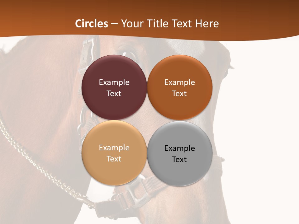 Brown Rural Pasture PowerPoint Template