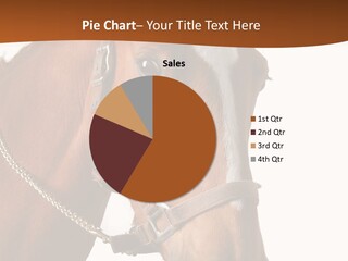 Brown Rural Pasture PowerPoint Template