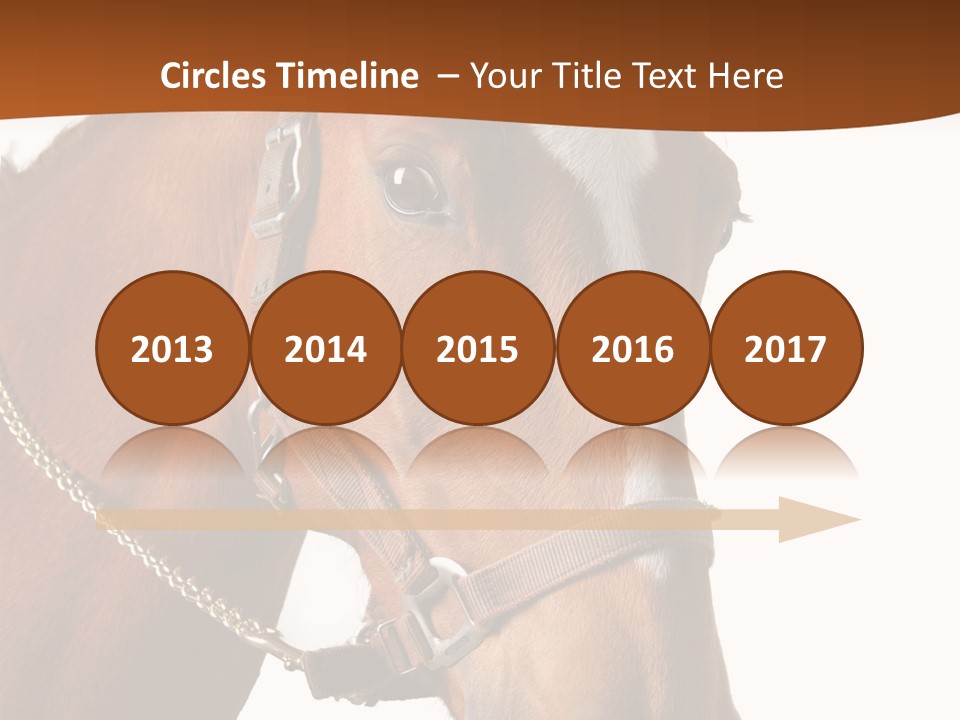 Brown Rural Pasture PowerPoint Template