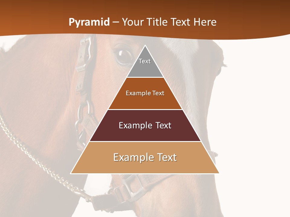 Brown Rural Pasture PowerPoint Template