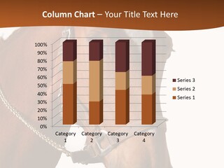 Brown Rural Pasture PowerPoint Template