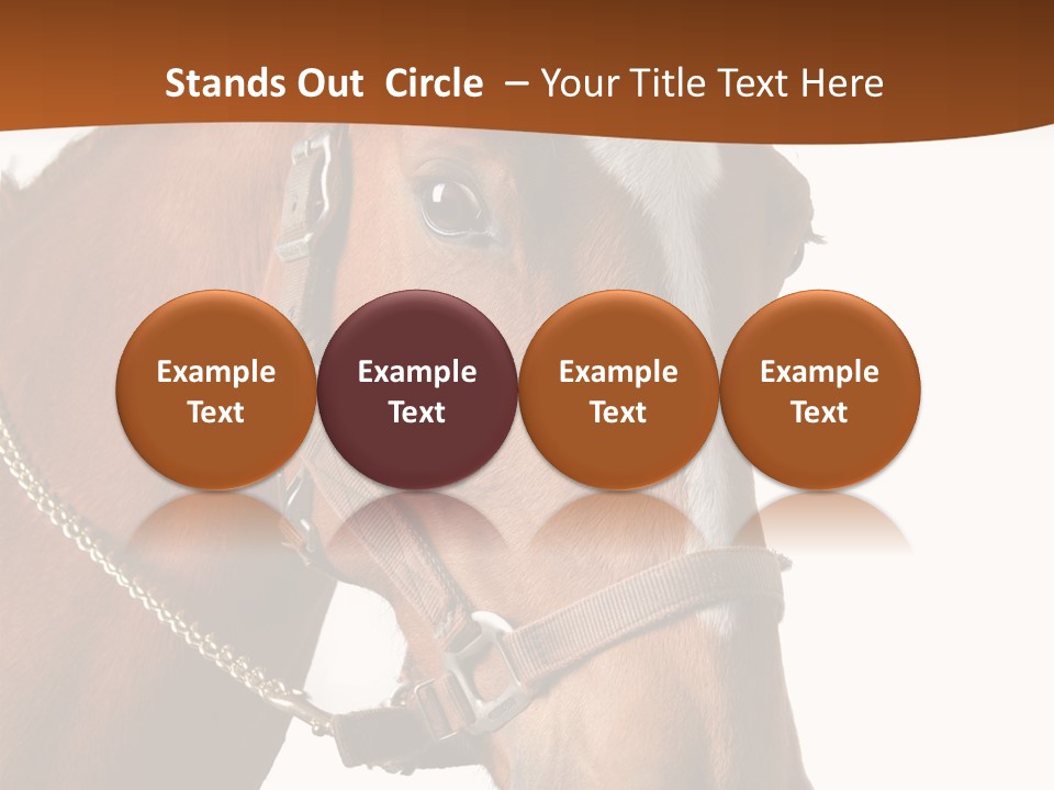 Brown Rural Pasture PowerPoint Template
