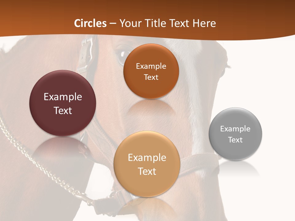 Brown Rural Pasture PowerPoint Template