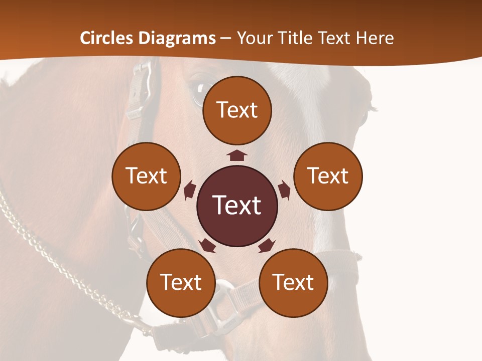 Brown Rural Pasture PowerPoint Template