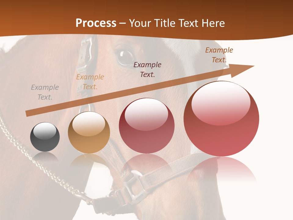 Brown Rural Pasture PowerPoint Template