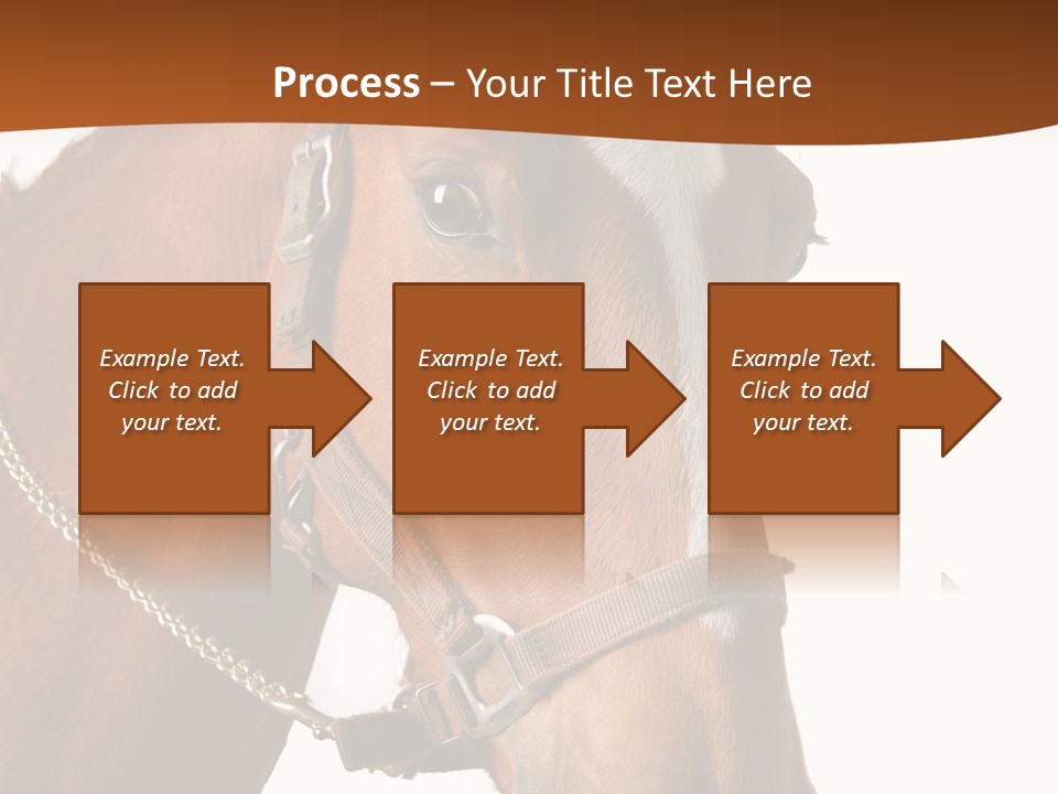 Brown Rural Pasture PowerPoint Template