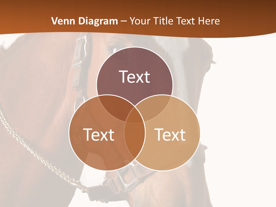 Brown Rural Pasture PowerPoint Template