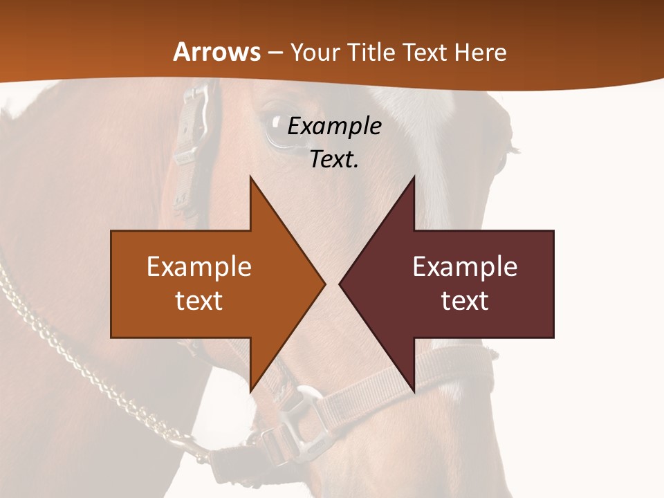 Brown Rural Pasture PowerPoint Template