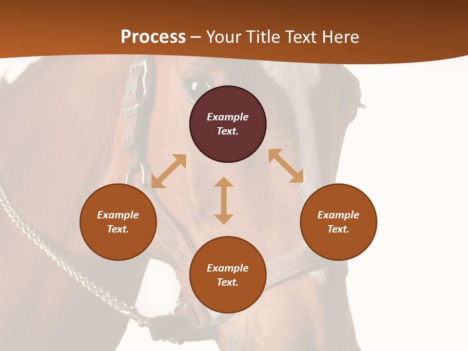 Brown Rural Pasture PowerPoint Template
