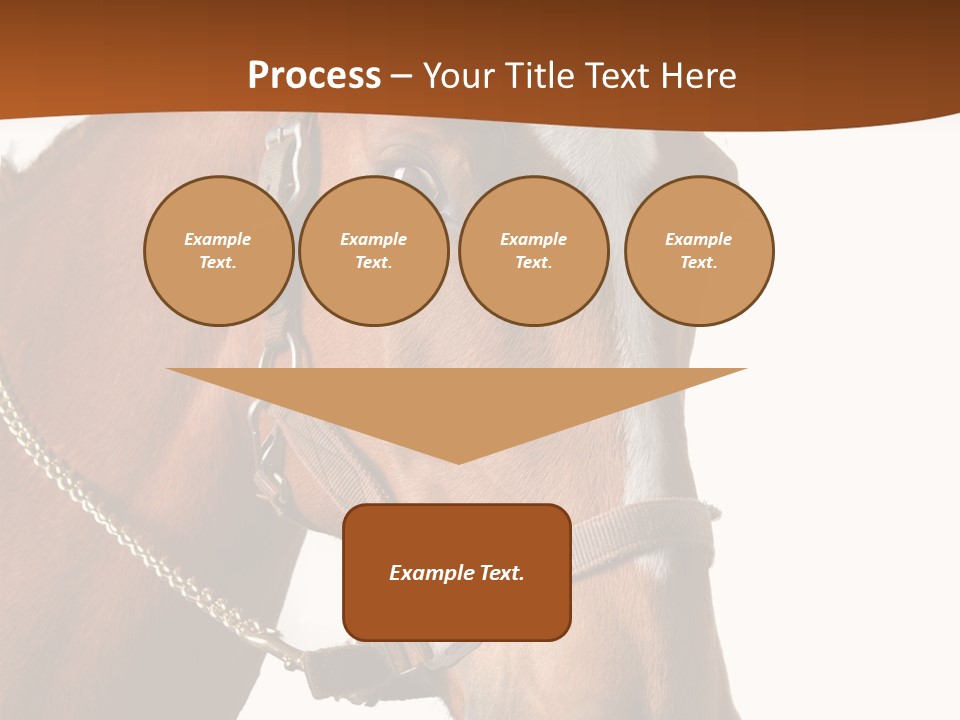 Brown Rural Pasture PowerPoint Template