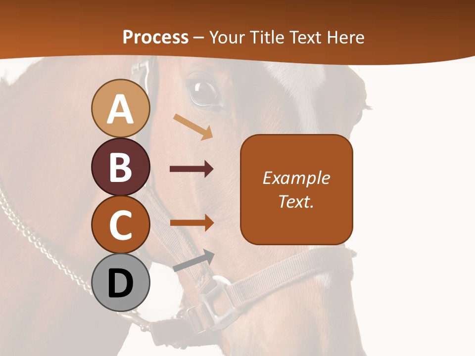 Brown Rural Pasture PowerPoint Template