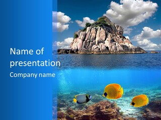 Sea Exotic Blue PowerPoint Template