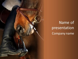 Saddle Equine Boots PowerPoint Template