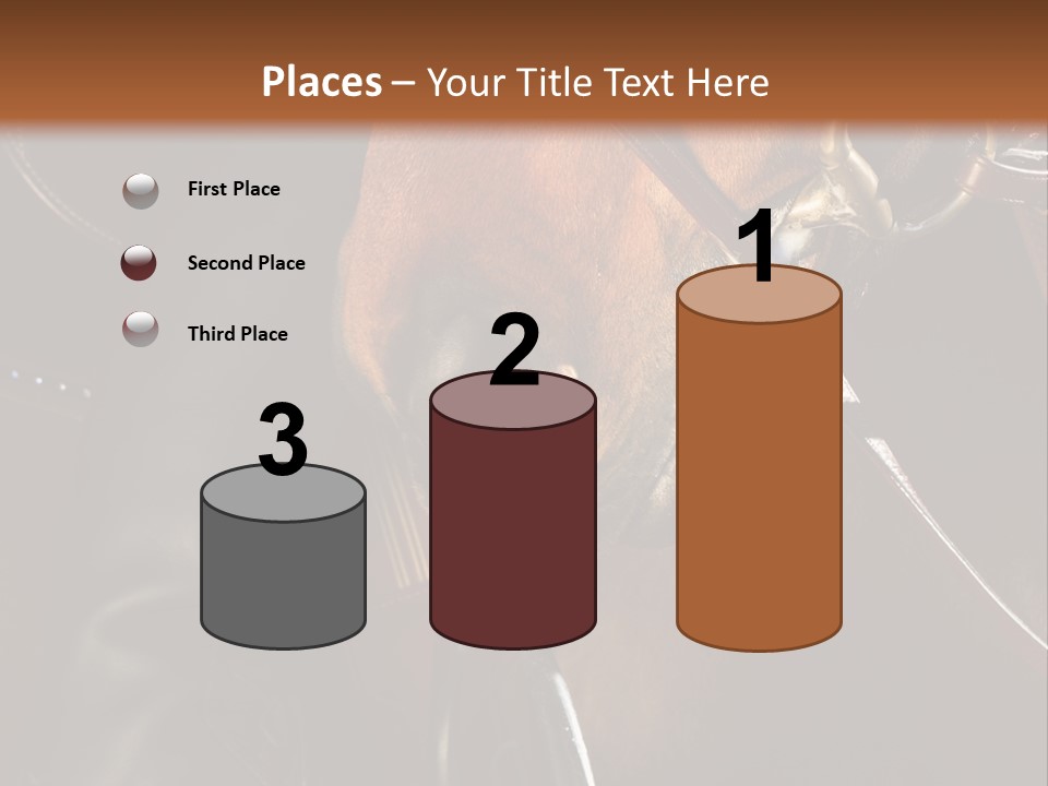 Saddle Equine Boots PowerPoint Template
