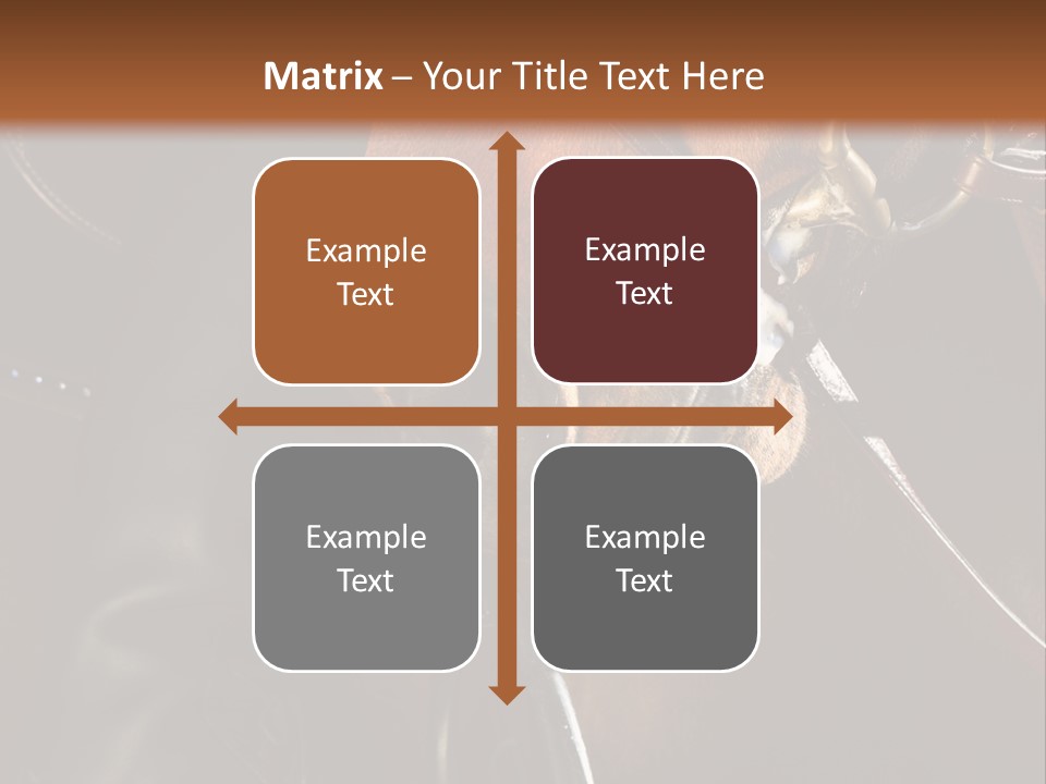 Saddle Equine Boots PowerPoint Template