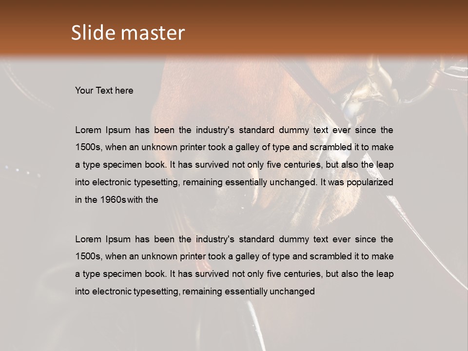 Saddle Equine Boots PowerPoint Template