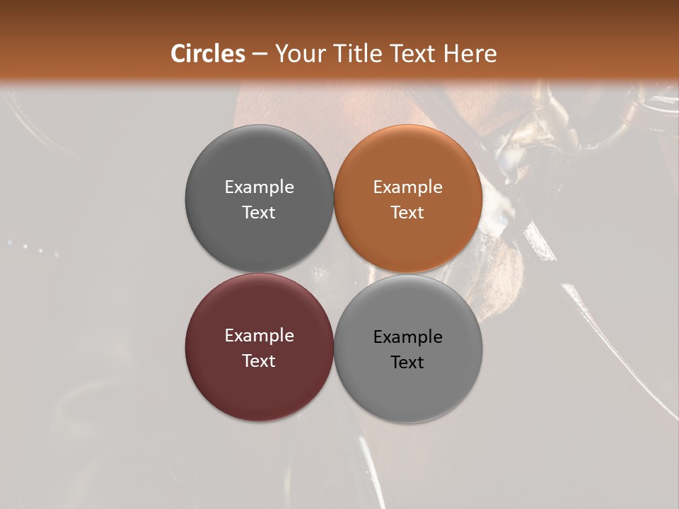 Saddle Equine Boots PowerPoint Template