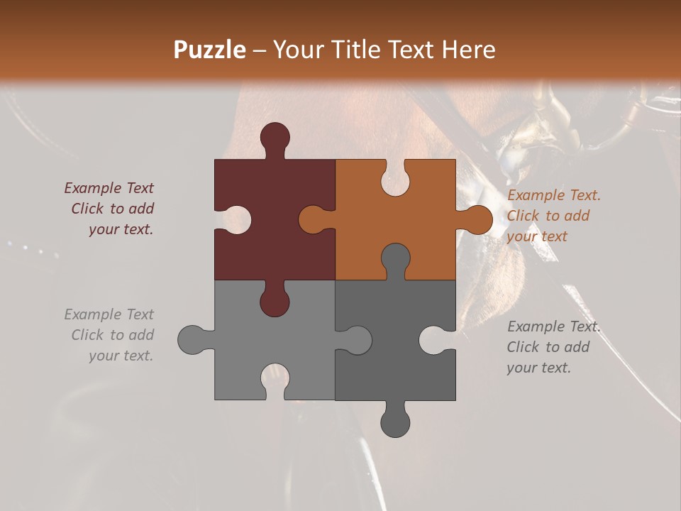 Saddle Equine Boots PowerPoint Template