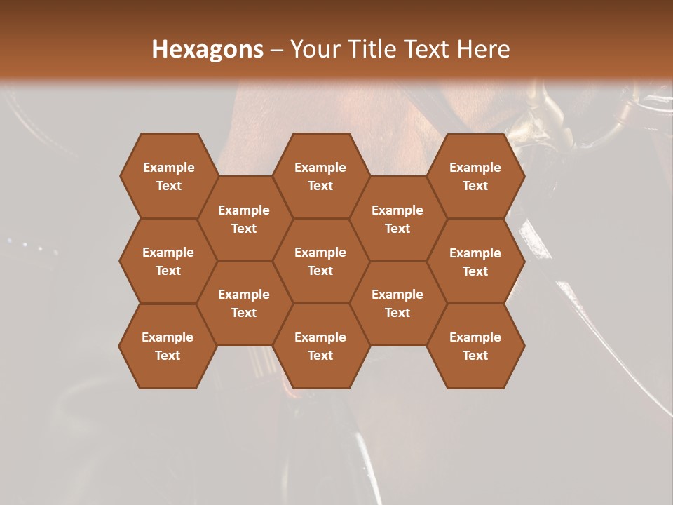 Saddle Equine Boots PowerPoint Template