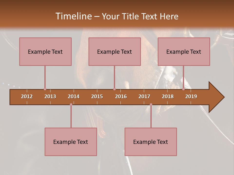Saddle Equine Boots PowerPoint Template