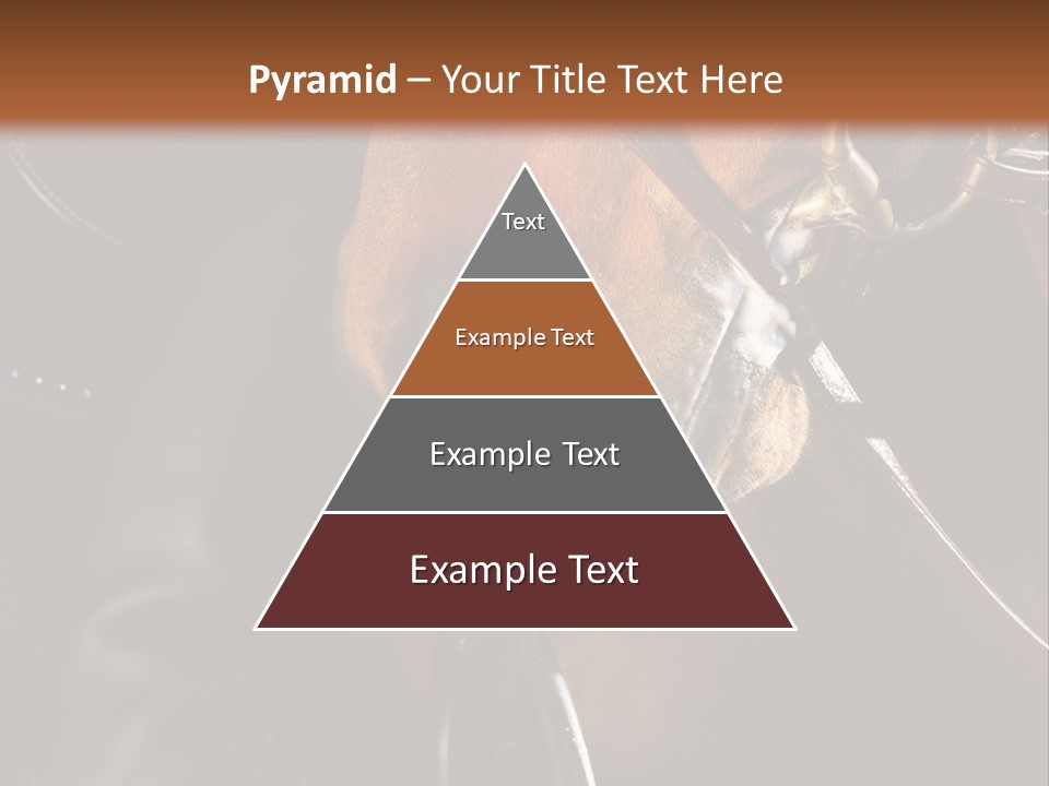 Saddle Equine Boots PowerPoint Template