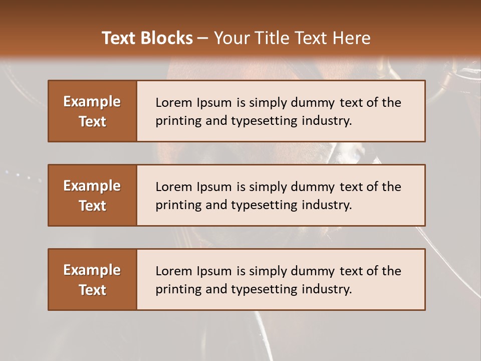 Saddle Equine Boots PowerPoint Template