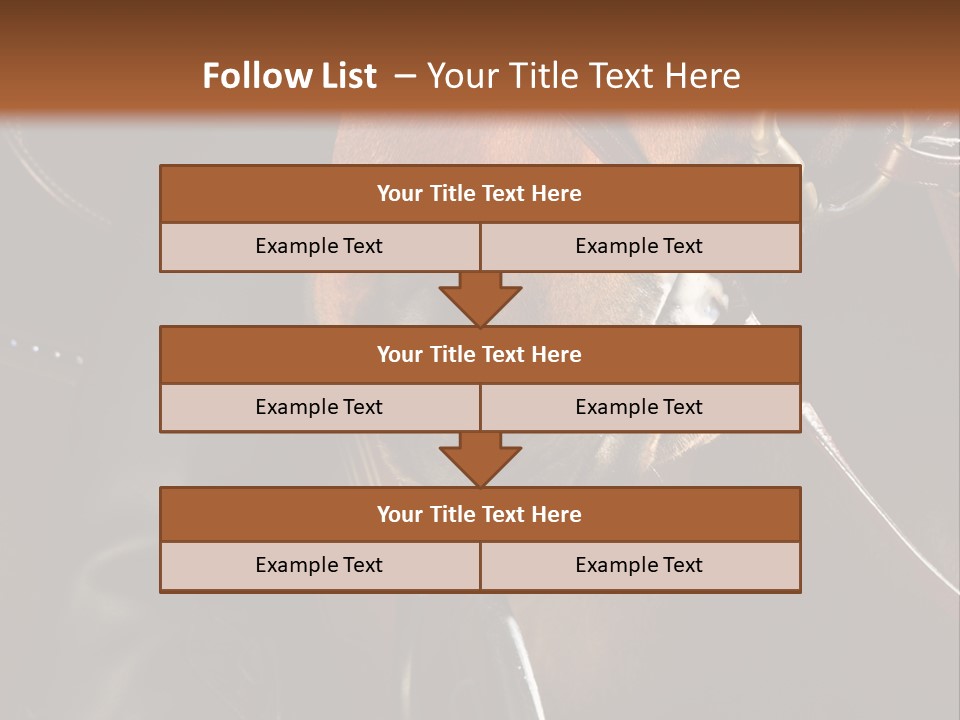 Saddle Equine Boots PowerPoint Template