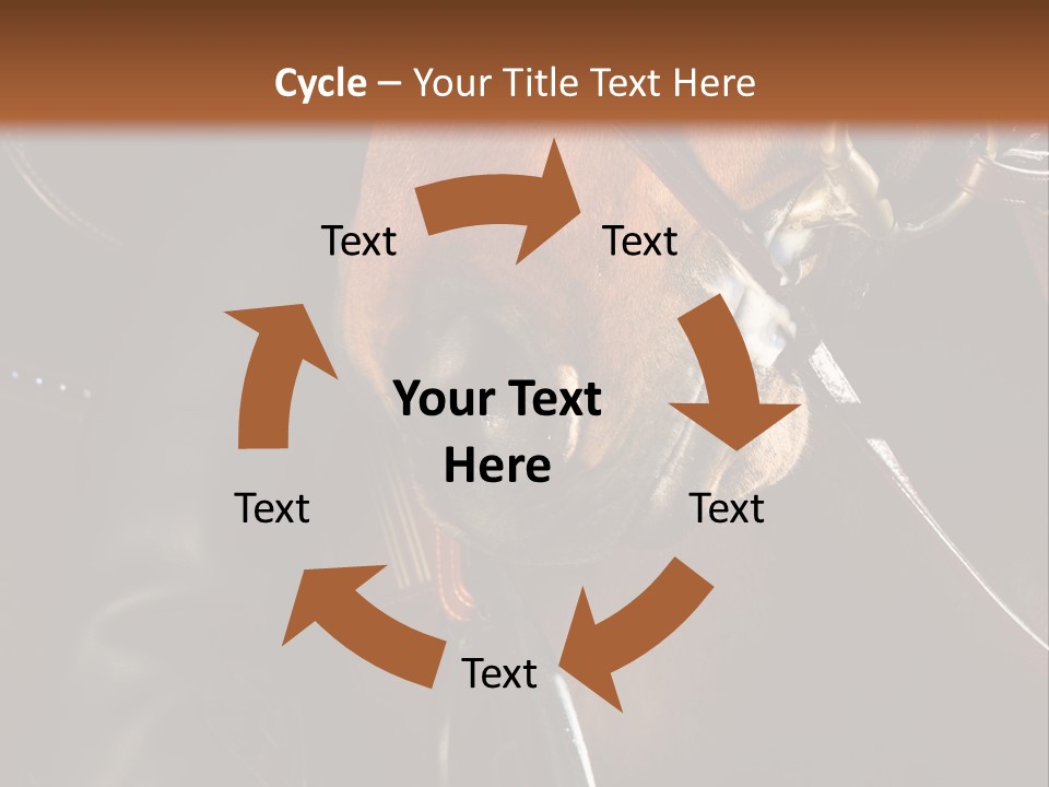 Saddle Equine Boots PowerPoint Template