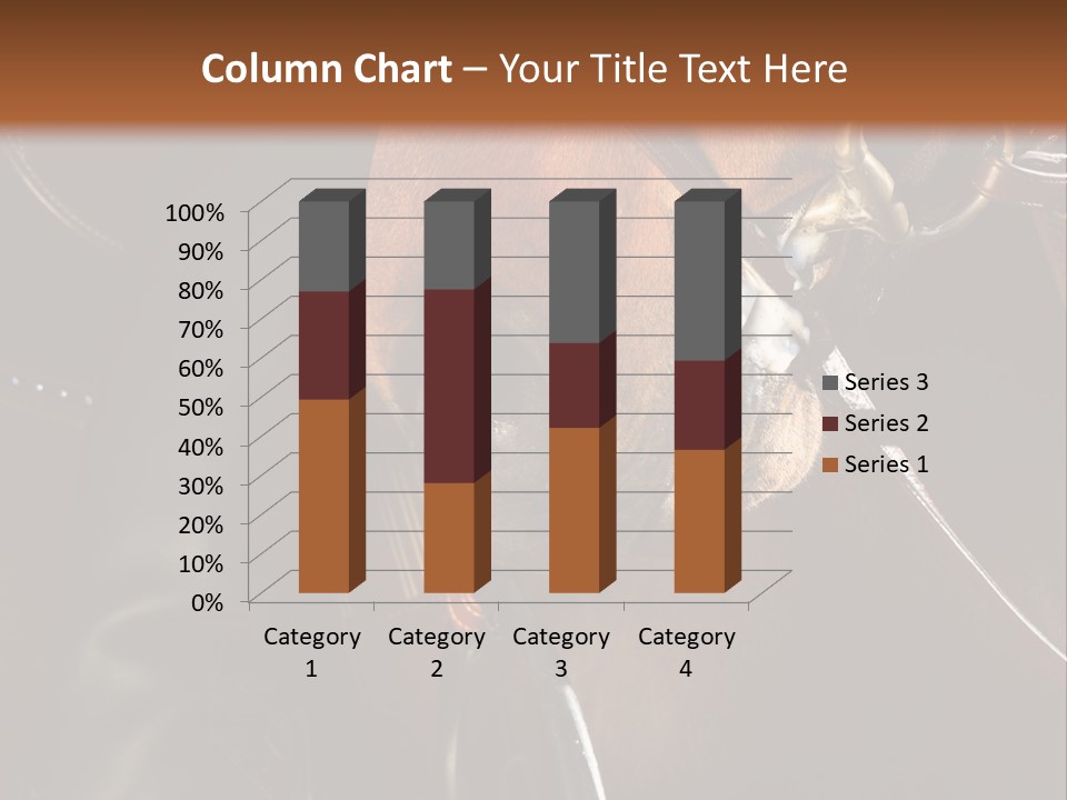 Saddle Equine Boots PowerPoint Template