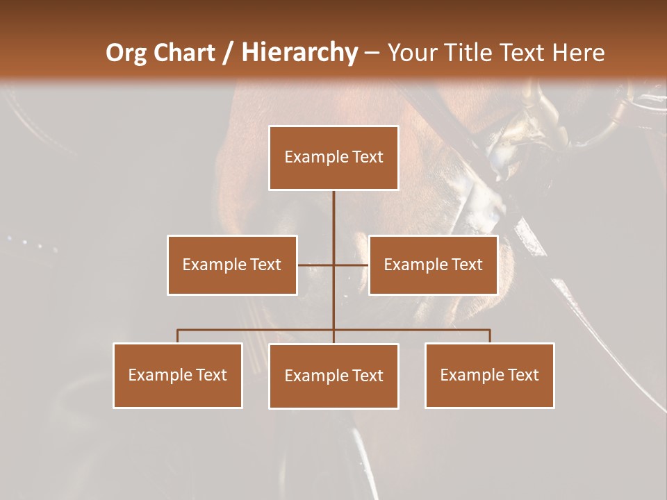 Saddle Equine Boots PowerPoint Template