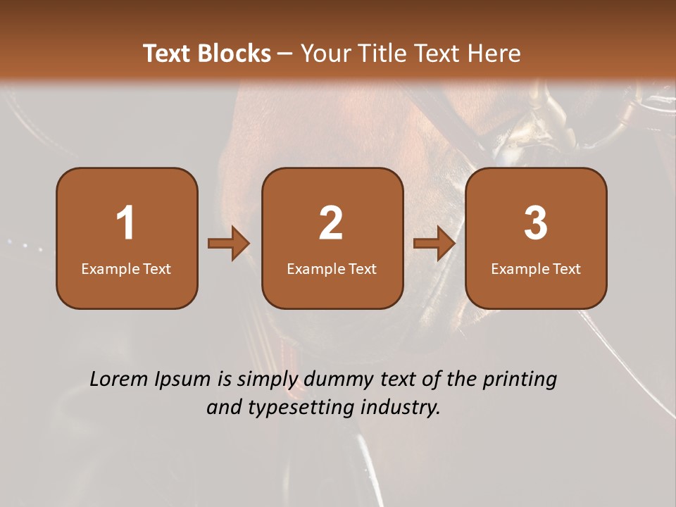 Saddle Equine Boots PowerPoint Template