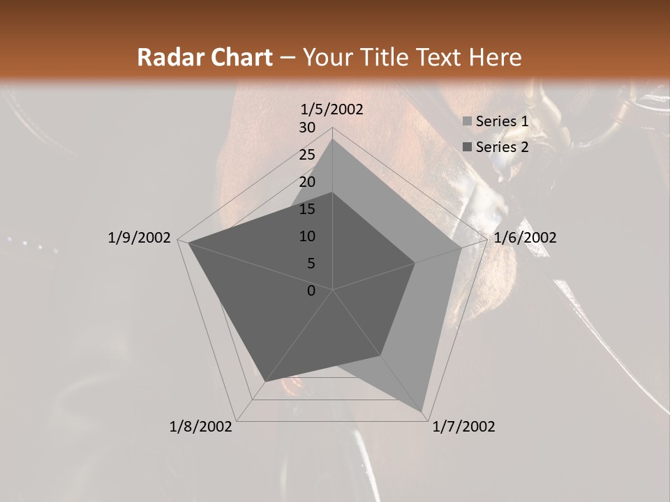 Saddle Equine Boots PowerPoint Template